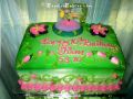 Birthday Cake-Toys 096